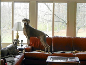 Lacey & Key