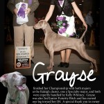 2012 BR Grayse PROOF copy