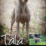 BR Sagenhaft Tala PROOF copy