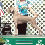 Lacey Specialty Major June 2013 11 mos old