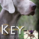 BR Sagenhaft KEY PROOF copy