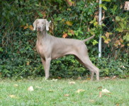 Tala-10-2-12